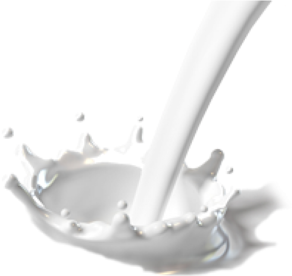 Milk Png Free Download - White Milk Splash Png (600x561), Png Download