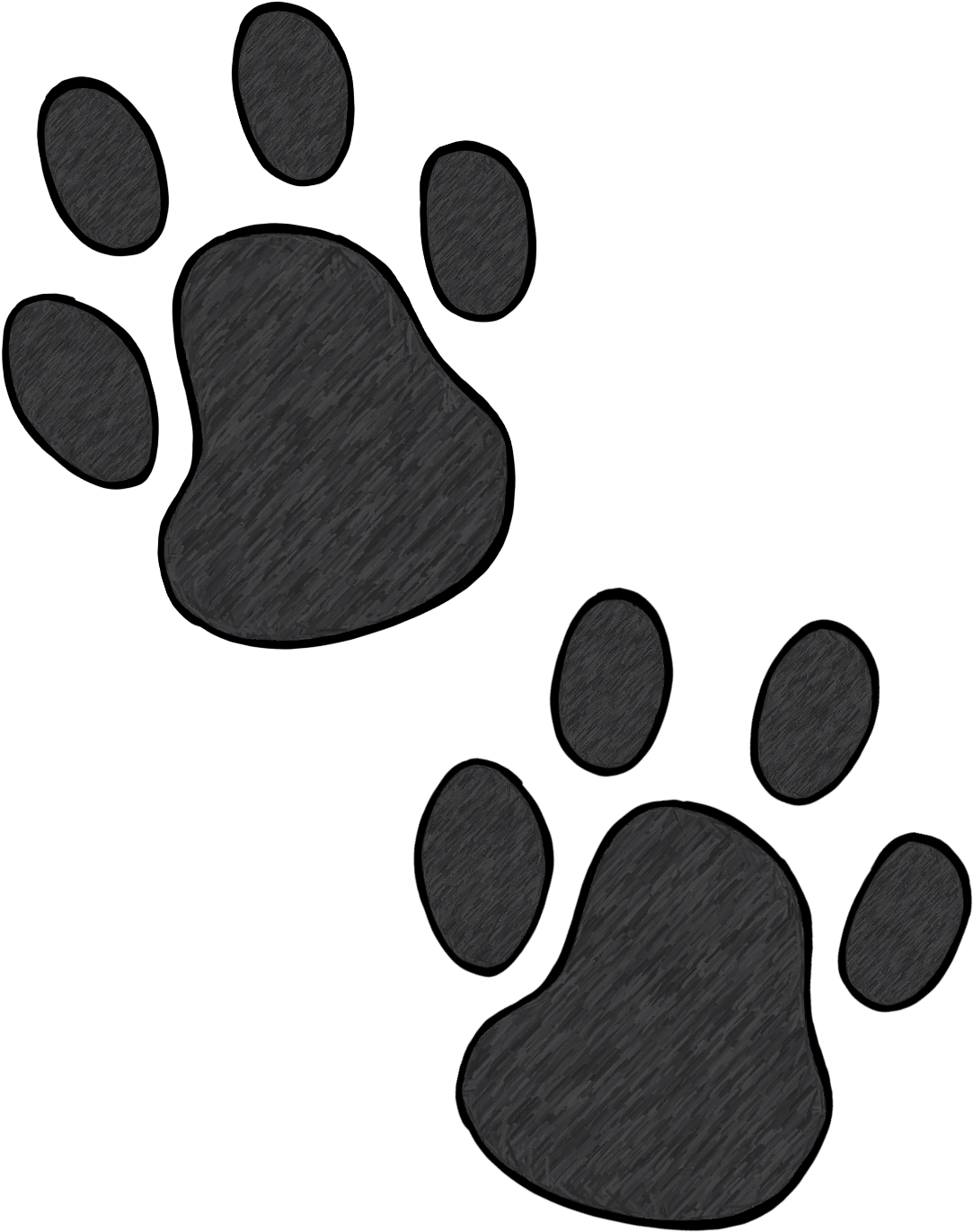 Paw Clipart Colored - Paw (1200x1600), Png Download