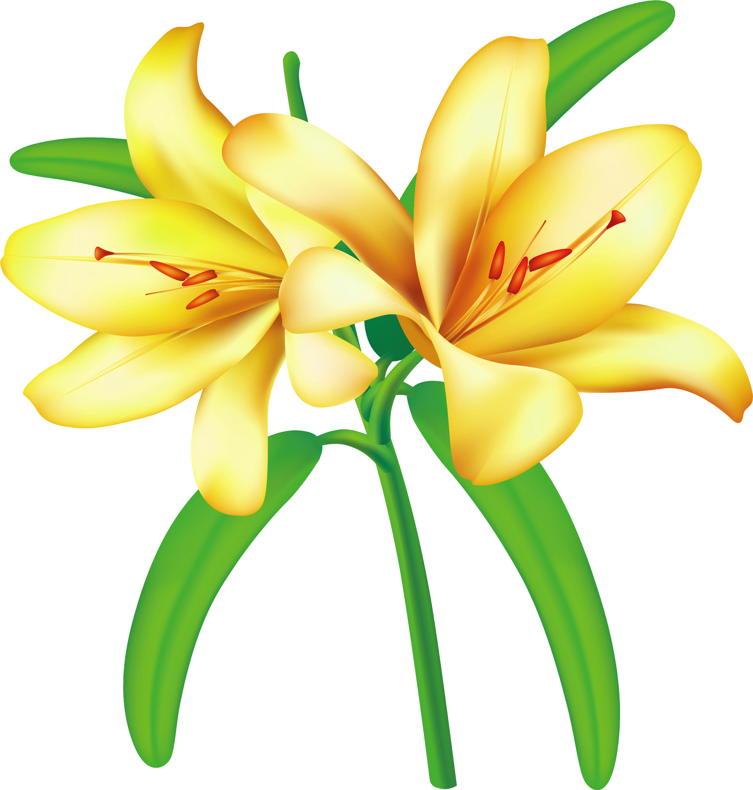 Flowers For Yellow Flower Clip Art Png - Yellow Lily Clip Art (2535x2661), Png Download