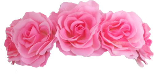 Visit - Flower Crown Pink Png (500x248), Png Download