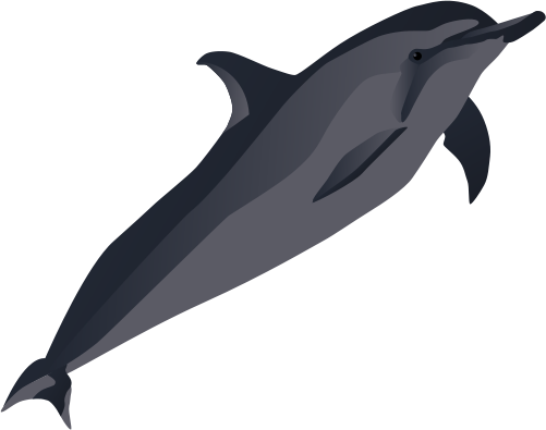 Spinner Dolphin Clipart Vector - Illustration (501x395), Png Download
