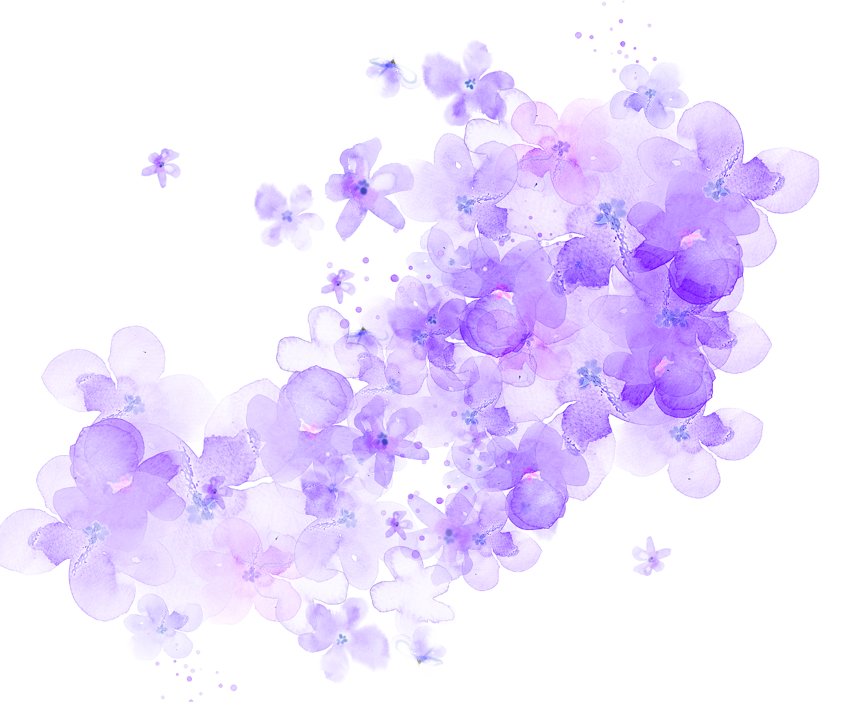 Ftestickers Watercolor Flowers Purple Transparent - Cherry Blossom Watercolor Flower Png (1227x1024), Png Download