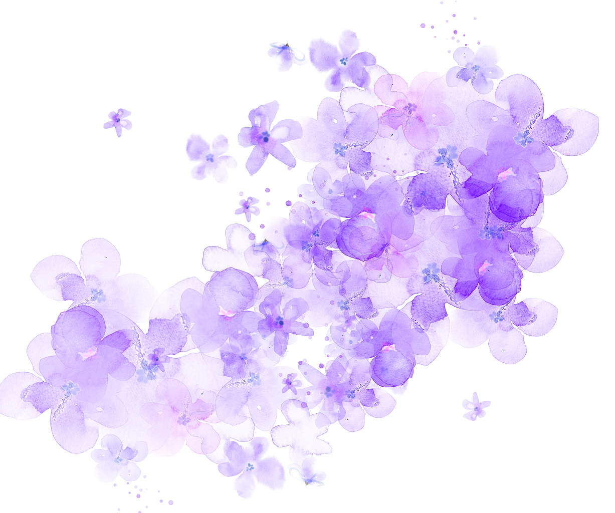 Download Ftestickers Watercolor Flowers Purple Transparent Cherry Blossom Watercolor Flower Png Png Image With No Background Pngkey Com