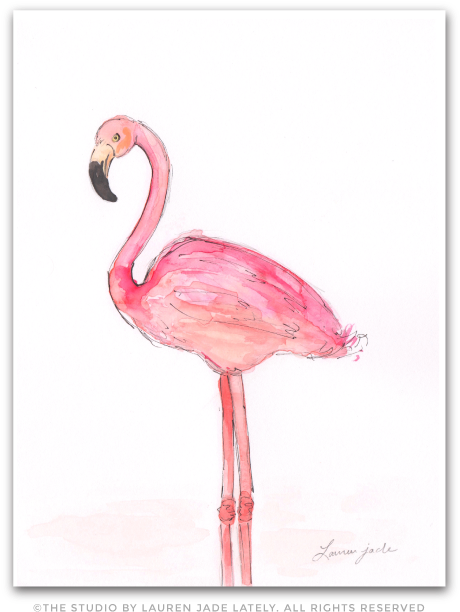 Flamingo No - Two - Drawing (492x654), Png Download