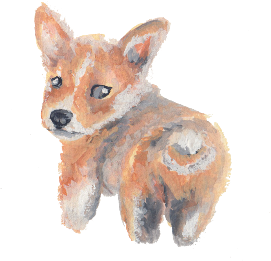 Korgi - Swift Fox (1000x954), Png Download