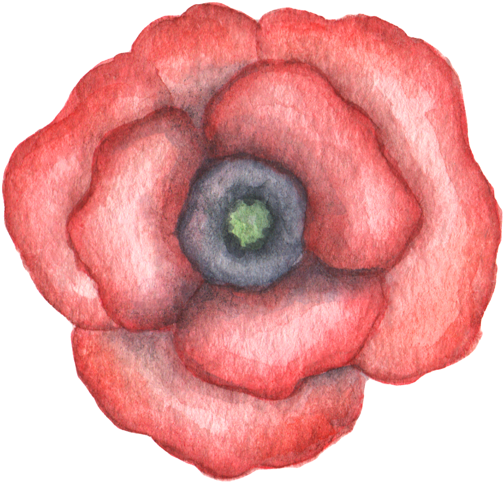 Hand Drawn Gradient Red Flower Watercolor Transparent - Watercolor Painting (1024x986), Png Download