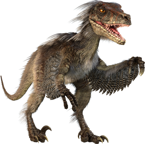 Dinosaur Png Background Image - Raptor Dinosaur (500x495), Png Download