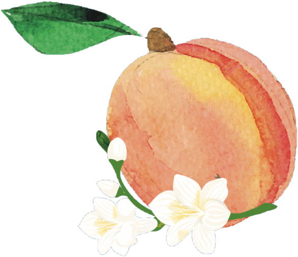Illustration (800x600), Png Download
