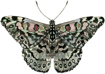Hello, My Name Is Claire And I'm An Artist Living And - Art (480x480), Png Download