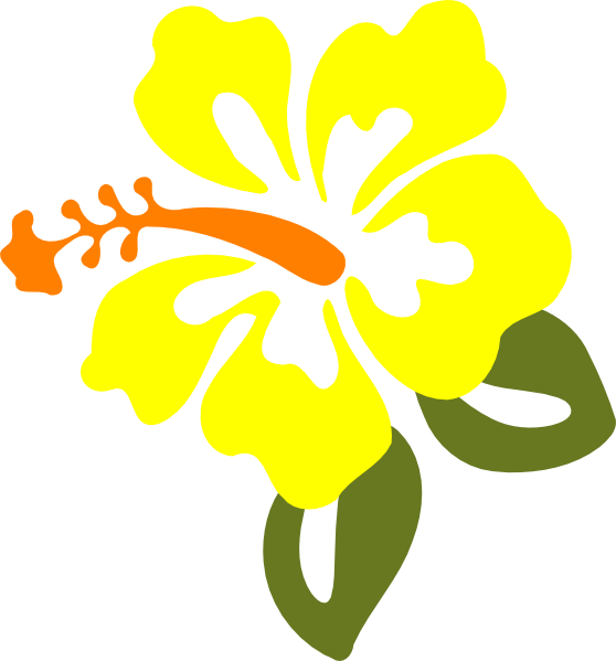Hibiscus Flowers Clipart At Getdrawings - Yellow Hibiscus Clip Art (558x599), Png Download