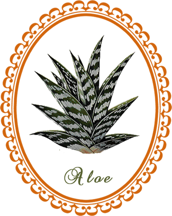 Vera Herb Savvy Crystal - Yarrow Leaf Transparent Art (350x440), Png Download