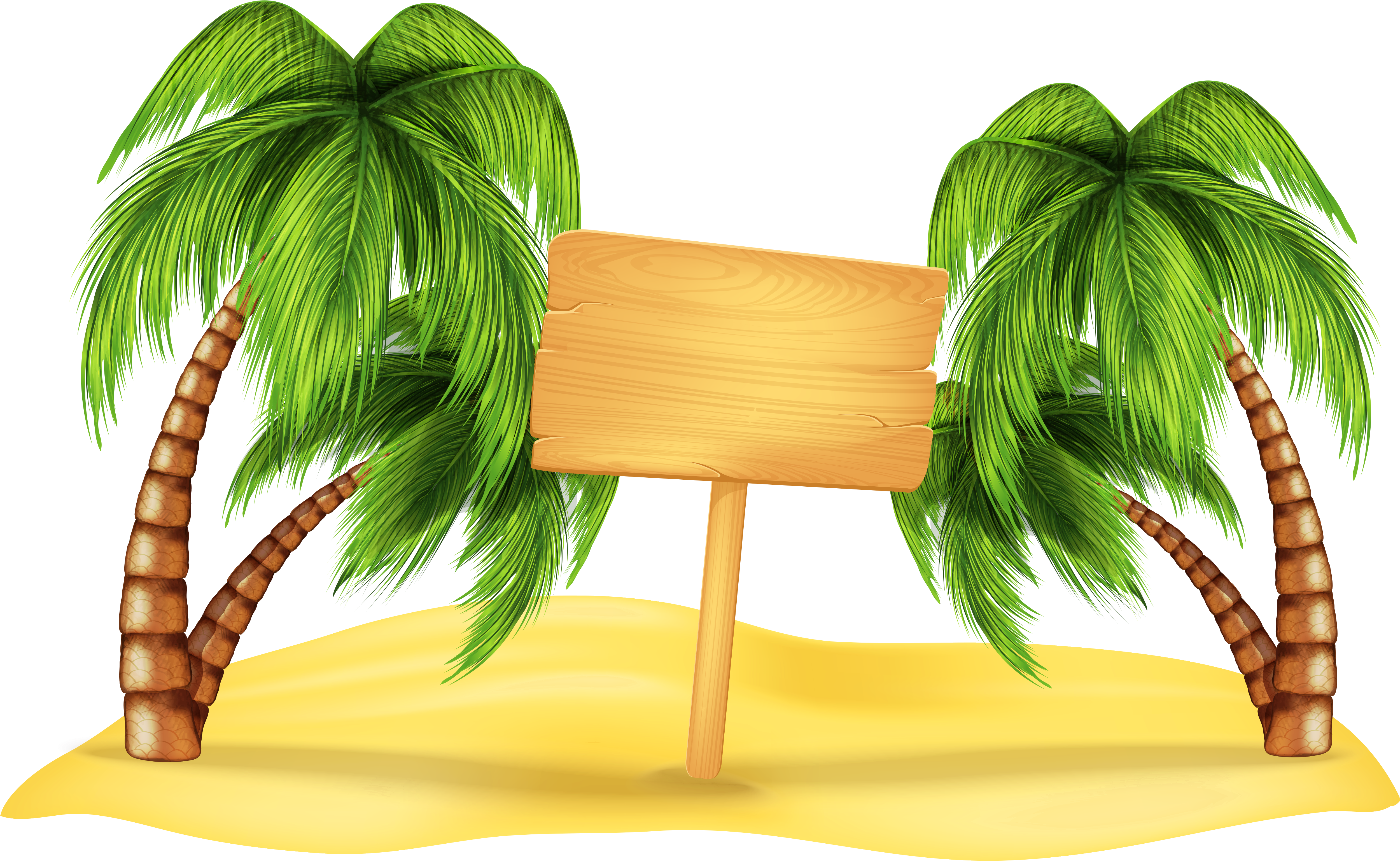 Download Coconut Tree Clipart Hd Png Png Image With No Background Pngkey Com