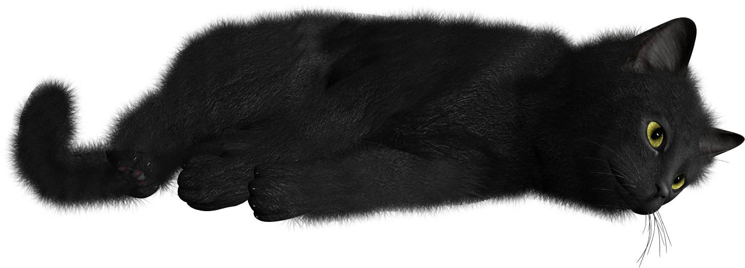 Cat / Image Id - Cat (1600x1520), Png Download