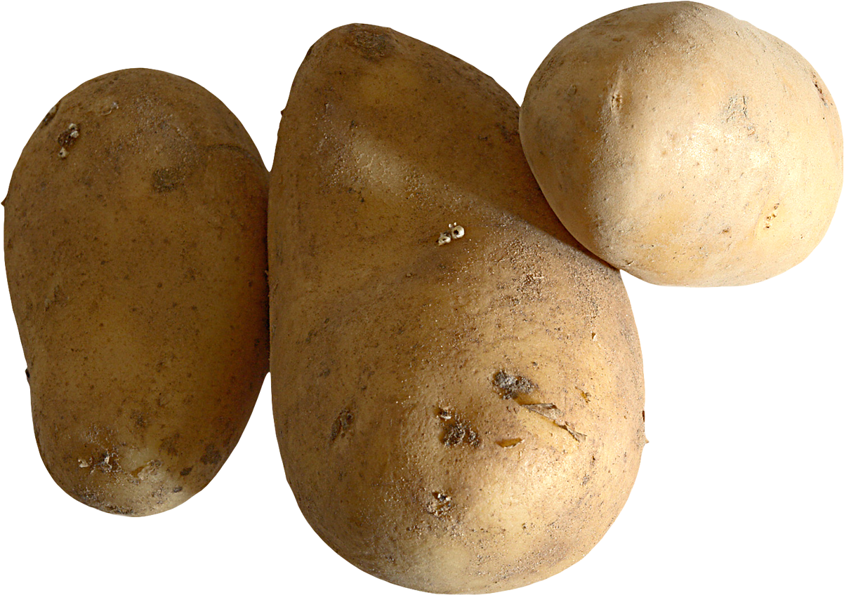 Raw Potato Png Image - Potato Png (1024x768), Png Download