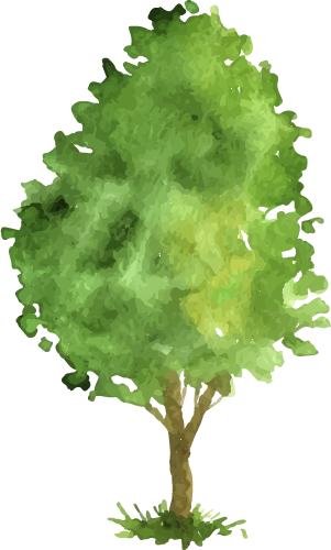 Shiretoko Goko Lakes Visitor Rule Guidelines - Tree (301x500), Png Download