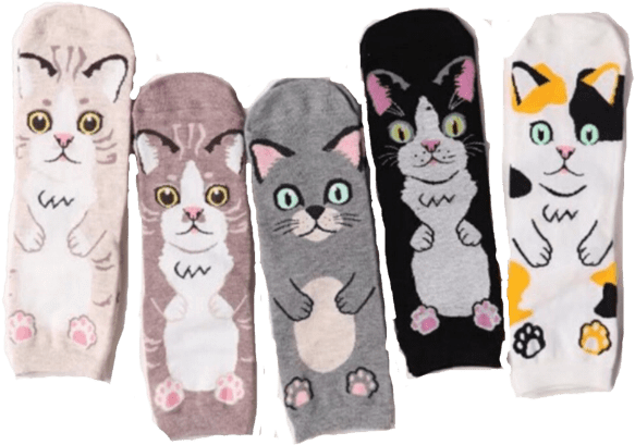 Cat Hug Socks - Sock (600x427), Png Download