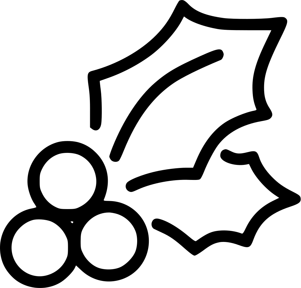 Holly Comments - Portable Network Graphics (981x938), Png Download