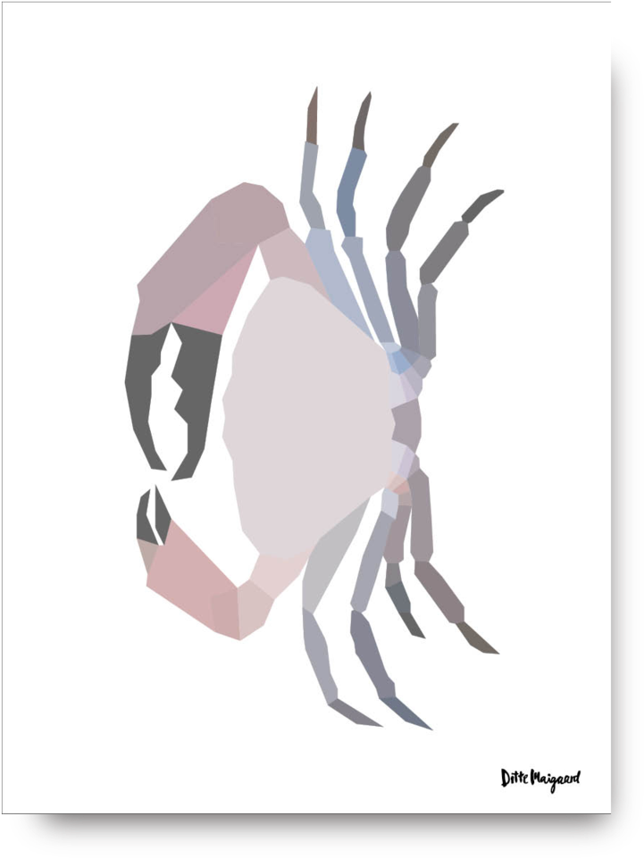 Cousin Crab Poster - Fiddler Crab (796x1024), Png Download