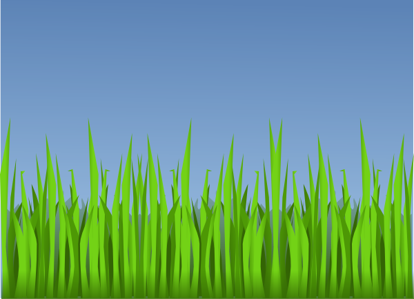 Lawn Clipart Forest - Forest Grass Clipart (600x433), Png Download