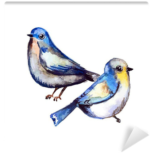 Cute Birds For Your Design - Tablo Center Dekoratif Tablo Ayna 50cm X 50cm Ak28888401 (400x400), Png Download