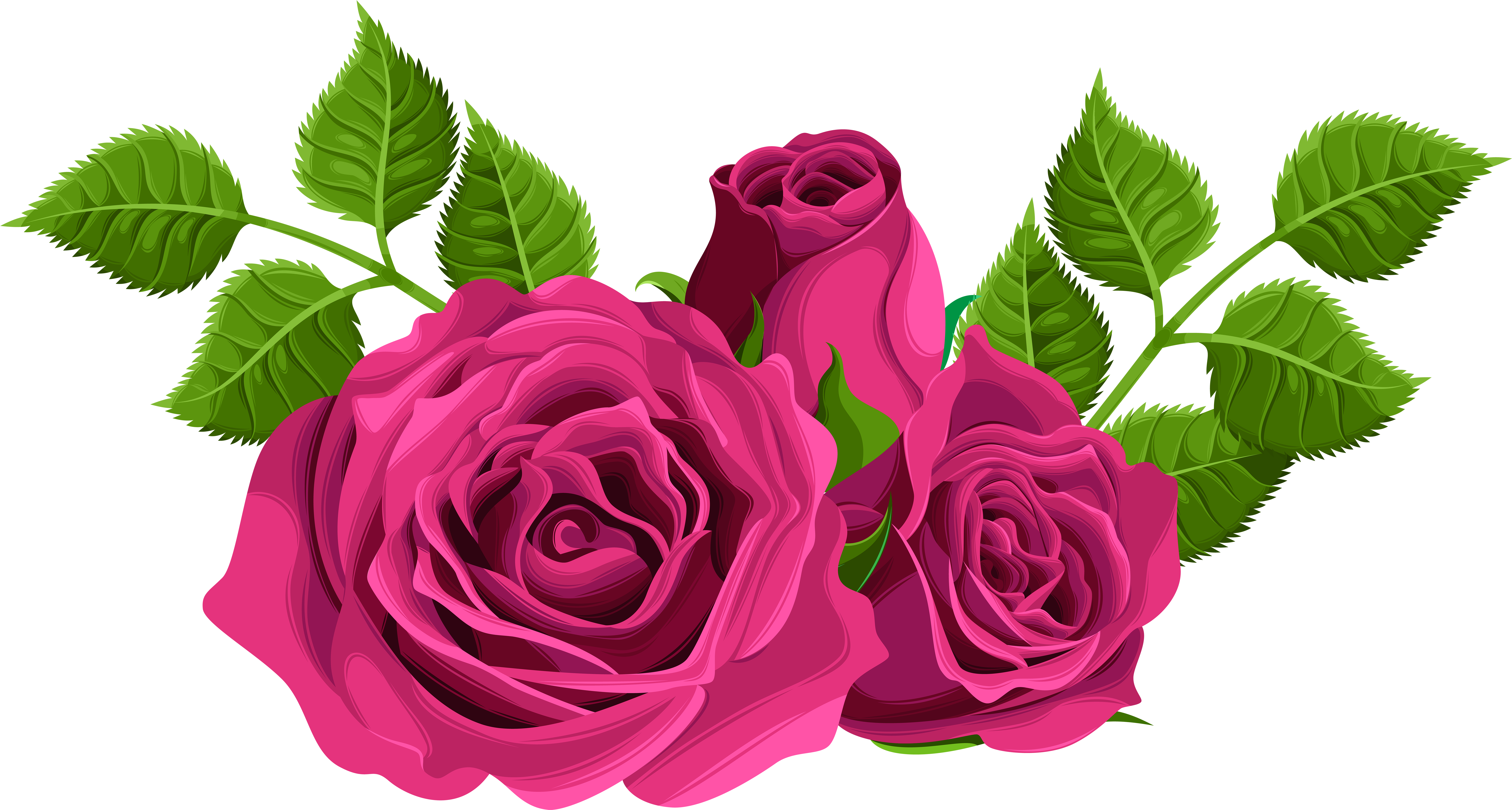 Pink Roses Clip Art (8000x4325), Png Download