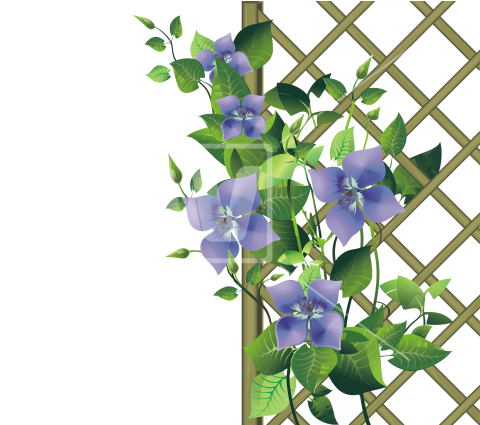 Pergola Garden Png - Your Mind Is A Garden Your Thoughts (550x424), Png Download