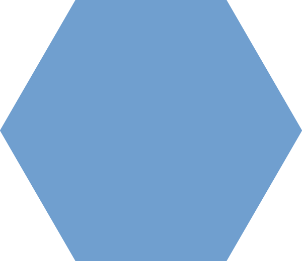 Hexnet - Hexagon Shape Transparent (600x520), Png Download