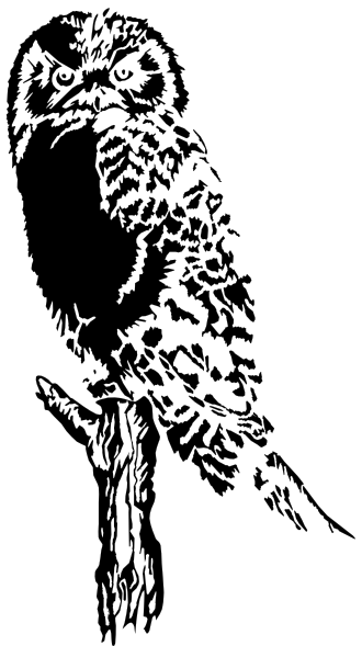 Owl Perched On Dead Tree Svg Clip Arts 330 X 589 Px (330x589), Png Download