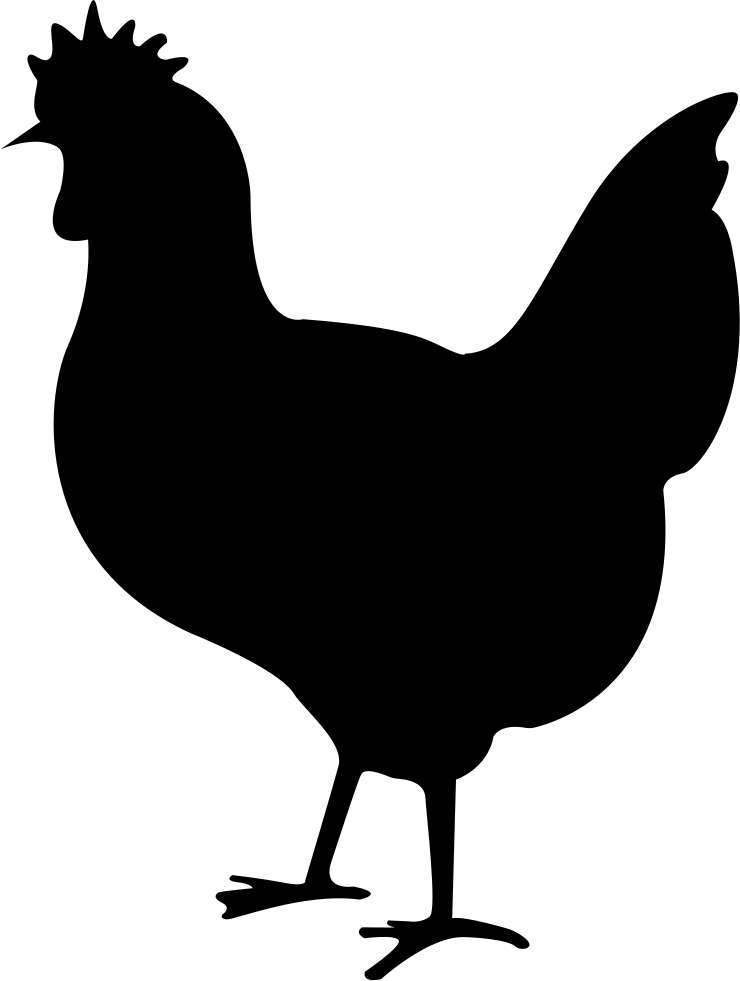 Chicken Comments - Free Chicken Svg (740x981), Png Download