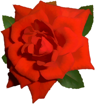 Single Red Rose Png - Bright Red Rose Png (385x419), Png Download