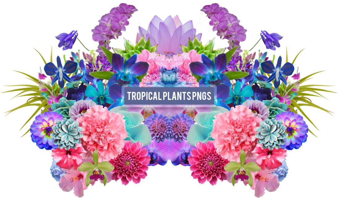 Tropical Plant Png's - Pack Png Plantas (1024x681), Png Download