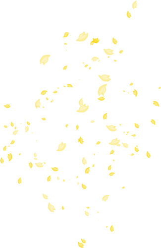 Views Album - Autumn Leaves (325x500), Png Download