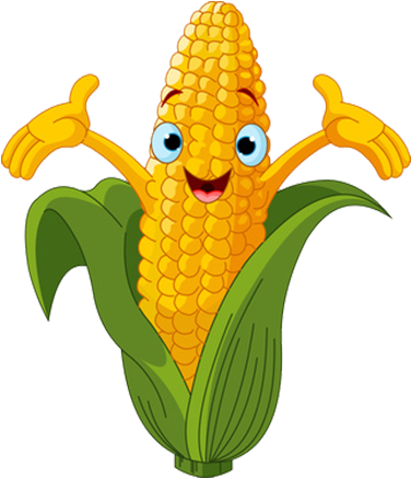 Vegetable Cartoon Drawing Clip Art - Corn Cob (500x500), Png Download