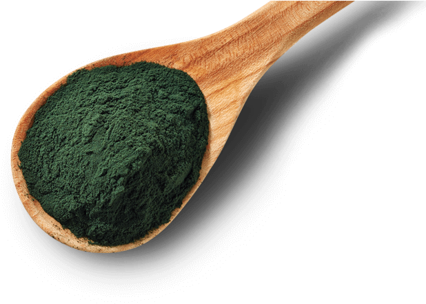 Pagelines Spirulina My Spoon - Spirulina Png (629x443), Png Download