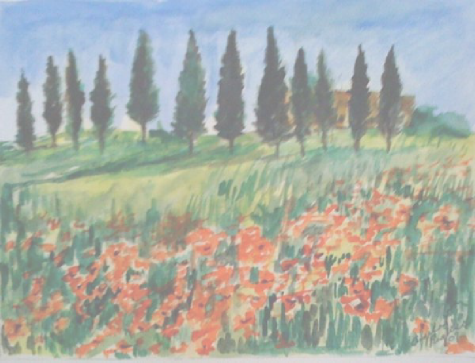 Cottonwood (950x726), Png Download