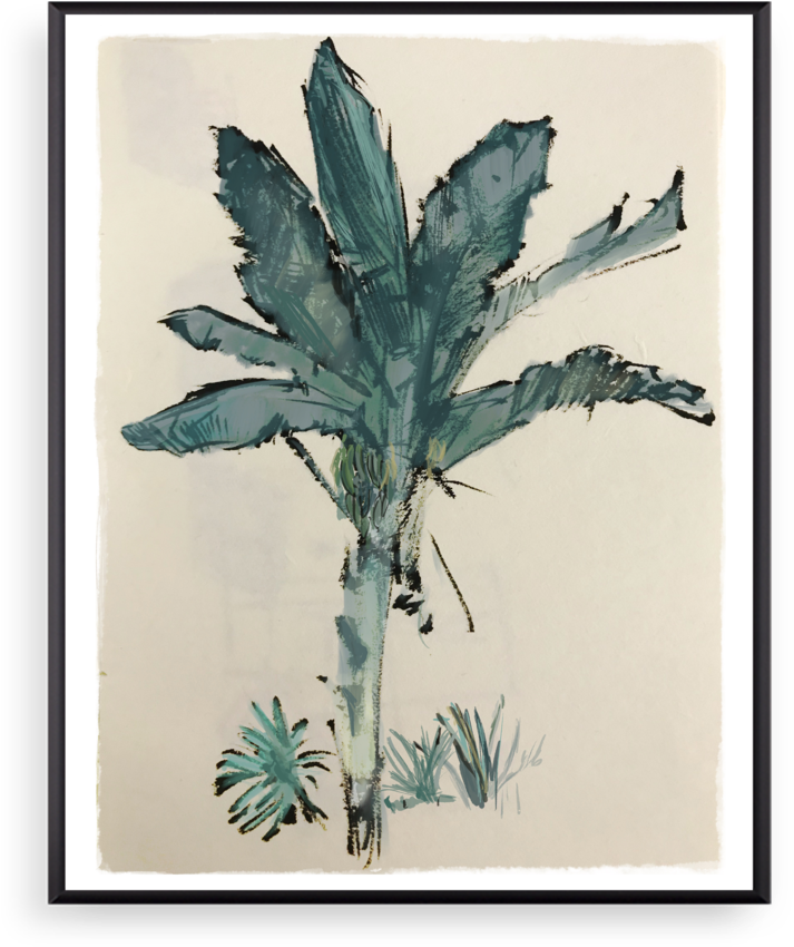 Banana Tree Thin Black (1000x1000), Png Download