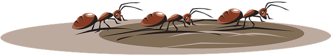 Dirt Clipart Ant Pile - Hormigas Caminando Png (680x340), Png Download