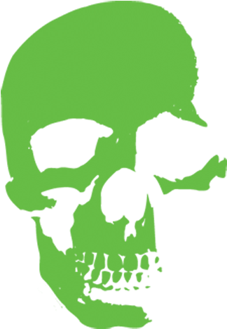 Green Skull Png (500x500), Png Download