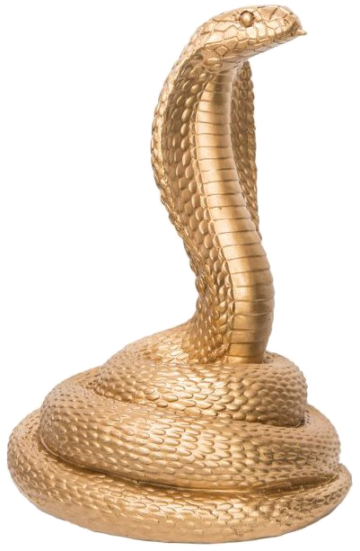 King Cobra Png Photo - King Cobra (465x630), Png Download