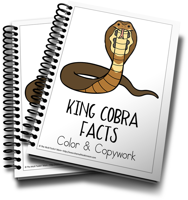 King Cobra Color And Copywork - Income Tax School Certificate (900x983), Png Download