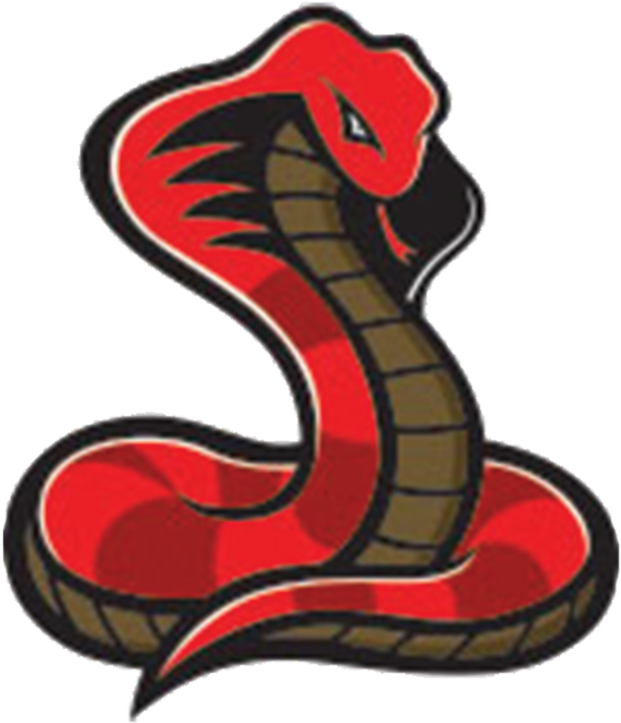 The Latest News For You Svg Transparent Stock - Vinyl Stickers Decals Dangerous Cobra Garage Home Window (800x800), Png Download
