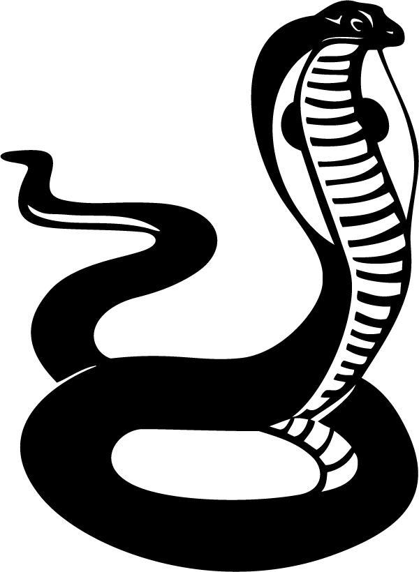 Black Cobra Snake Clipart (600x820), Png Download