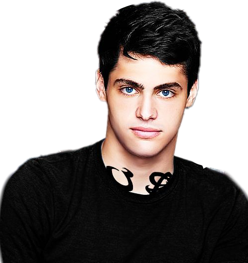 Matthew Daddario Como Alec Lightwood (498x528), Png Download