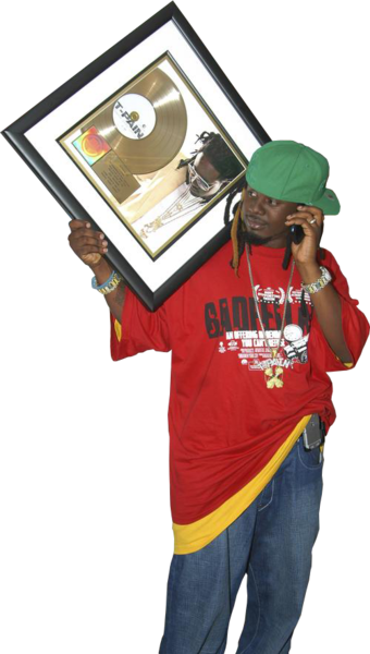 T Pain W Gold Record - Auto-tune (340x600), Png Download
