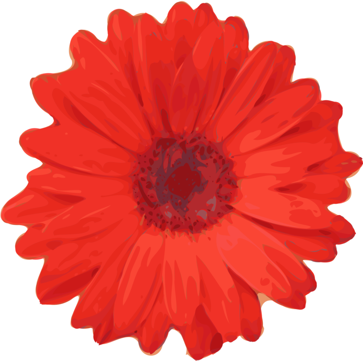 Flower Red Rose Common Daisy Petal - Red Flower Clip Art (739x750), Png Download