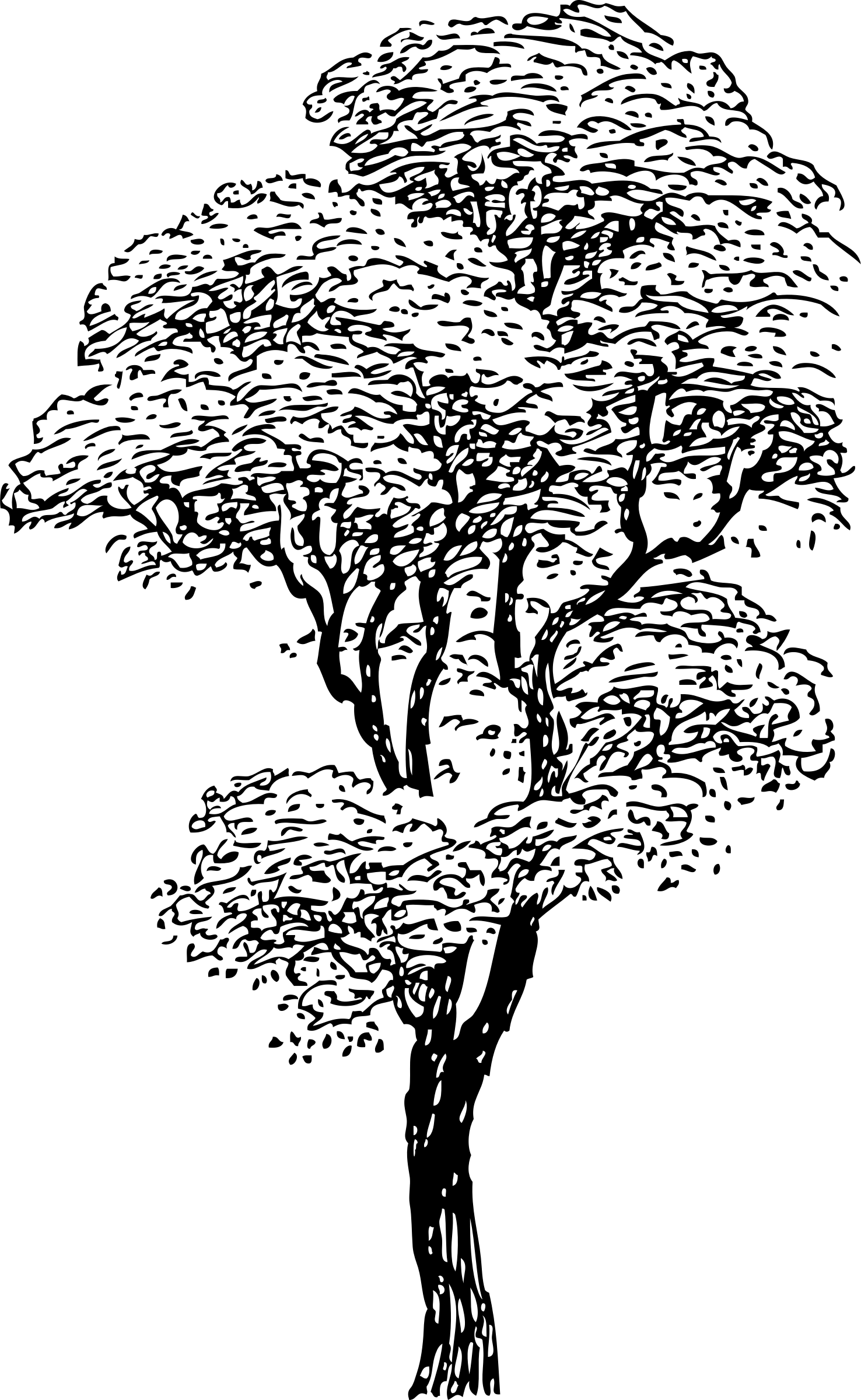 Big Image - Life: Philosophical Dialogues [book] (1476x2400), Png Download