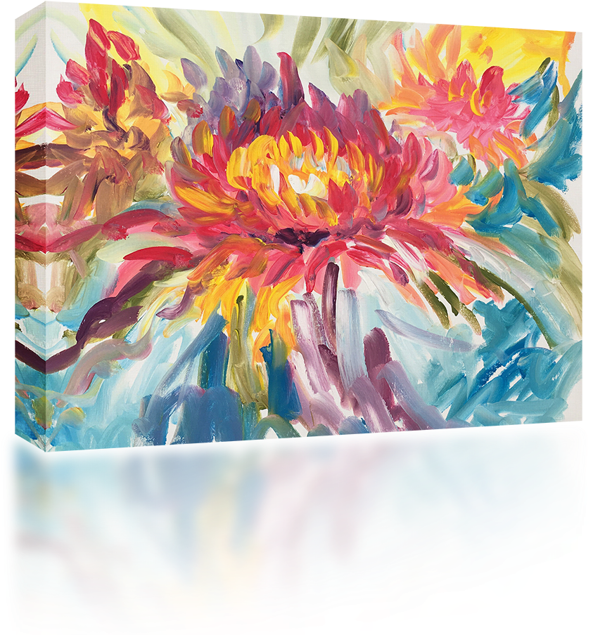 Chrysanthemum - Chrysanths (1024x1024), Png Download