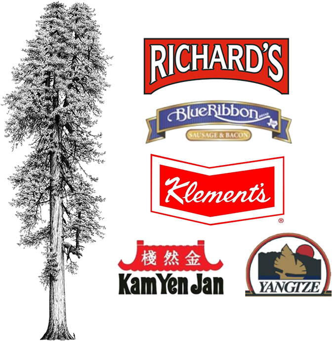 Tall Tree Foods - Giclee Painting: Van Pelt's Illustration Of Redwood (1230x699), Png Download