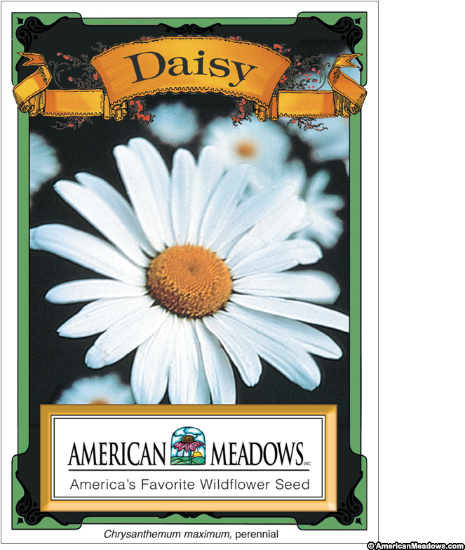 Daisy Seed Packet - Flower Seed Packets (800x800), Png Download