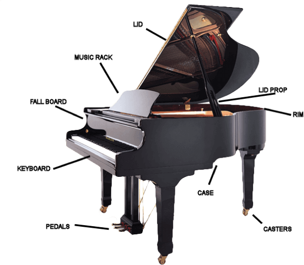 Guide To Buying A Baby Grand Piano - Baby (666x531), Png Download